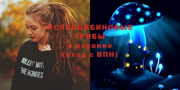 гашик Абаза