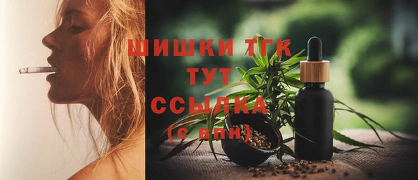 гашик Болотное