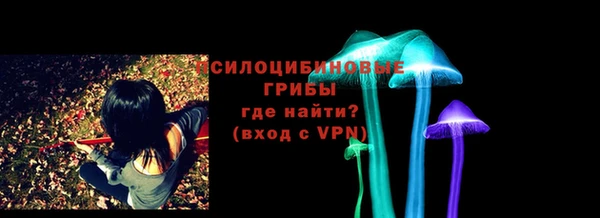 мдпв Нягань