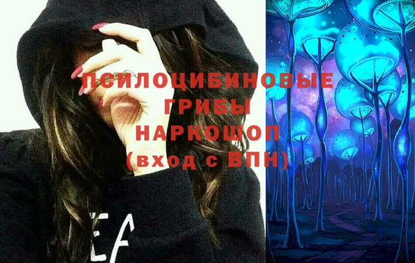 гашик Абаза